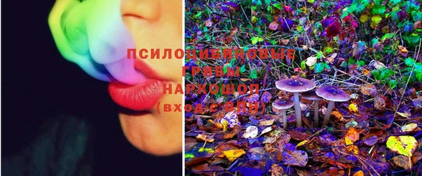 ешки Гусиноозёрск